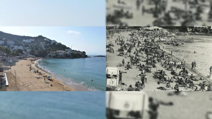 Les pedres de la platja de Canyelles de Roses fan de guia del nivell del mar