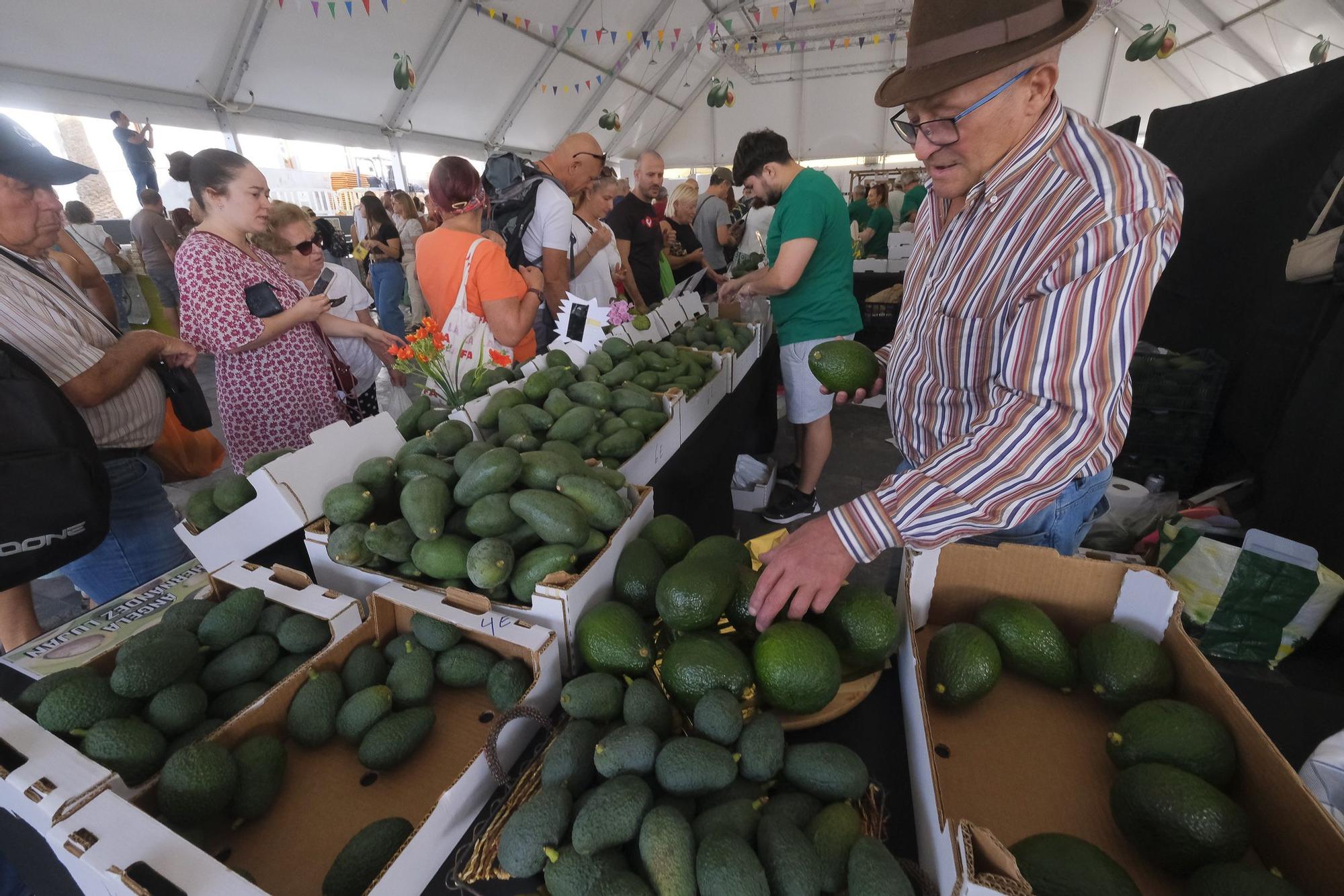 04-11-2024 MOGÁN. IX Feria del Aguacate de Mogán, en Arguineguín  | 01/12/2024 | Fotógrafo: Andrés Cruz