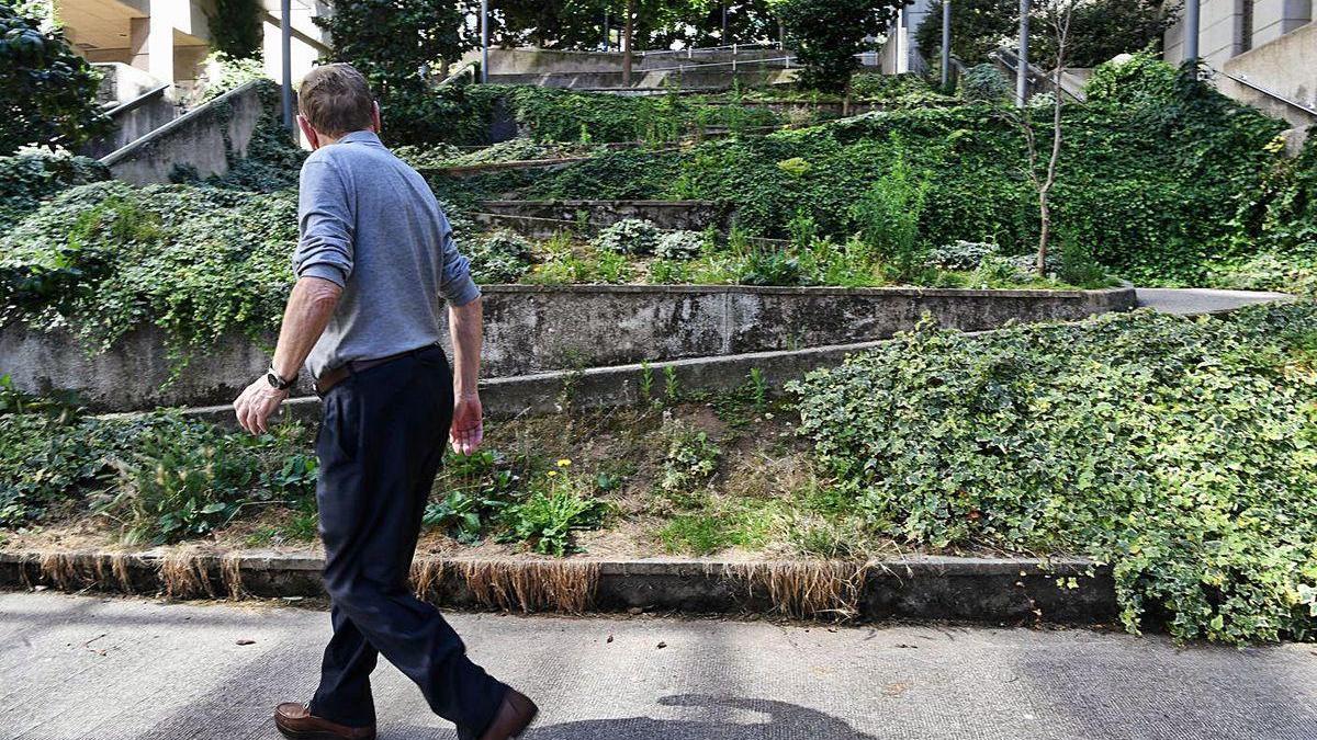 Vegetación descontrolada en Jacinto Benavente