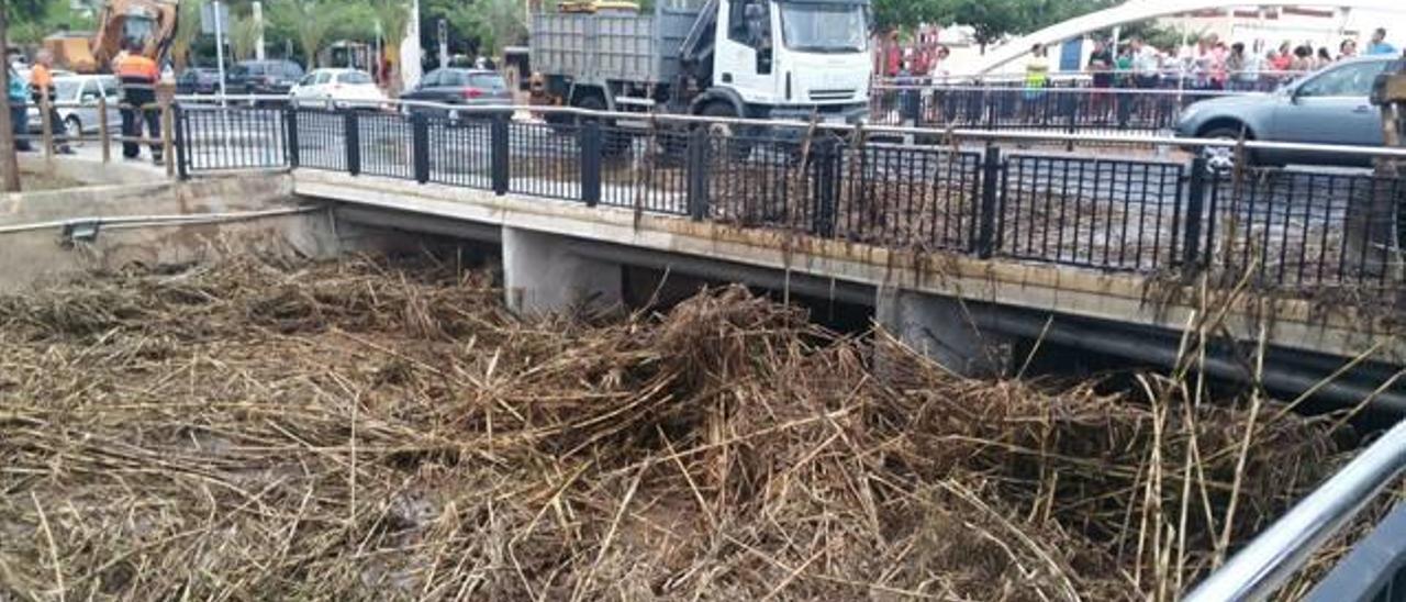 La acumulación de restos en la Gola por la tormenta hace saltar las alarmas en Nules