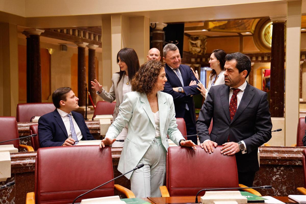 María José Ruiz habla con Rubén Martínez Alpañez (ambos de Vox) antes del inicio del Pleno.