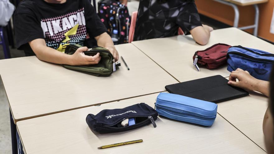 Educación plantea consultar a las familias para elegir la &quot;lengua base&quot; de cada centro