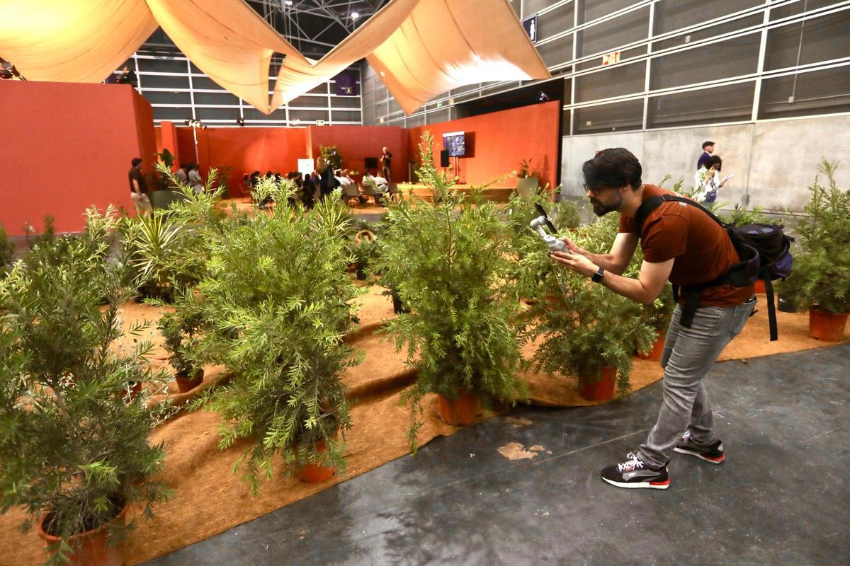 Plantas resistentes al fuego y adaptadas al clima mediterráneo.