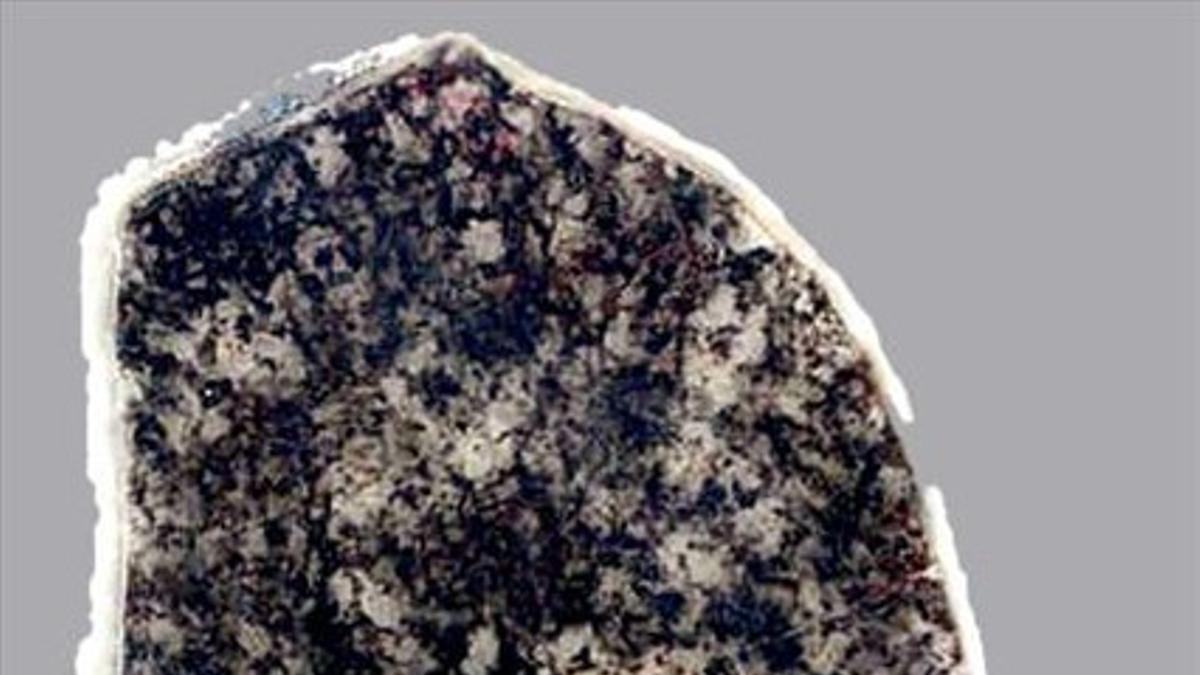 Una sección de roca con fósiles bacterianos (de color más oscuro) de hace 1.800 millones de años. Procede de Australia