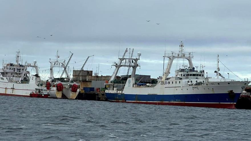Malvinas alerta del cierre anticipado de la campaña por falta de calamar: “Es muy floja”