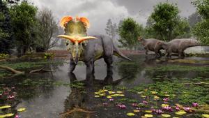 Reconstrucción de Lokiceratops en los pantanos de 78 millones de años del norte de Montana, mientras dos Probrachylophosaurus pasan al fondo.