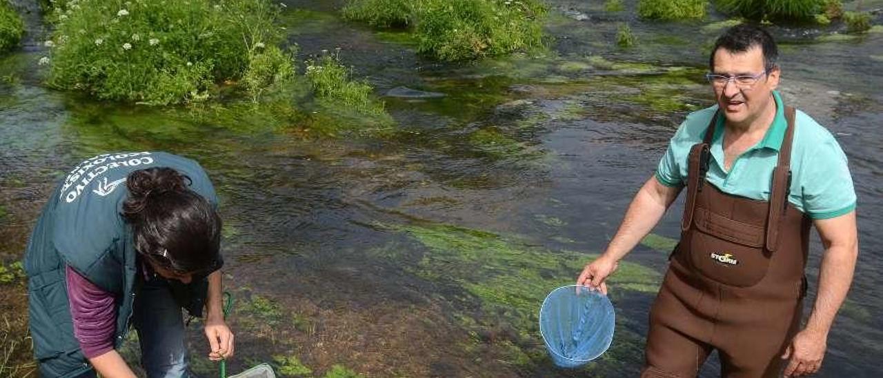 Un momento de la intervención del GES en aguas del Umia, bajo el puente de Os Padriños. // Noé Parga