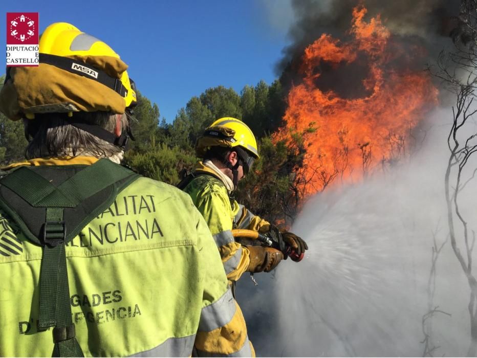 Incendio forestal en Cabanes