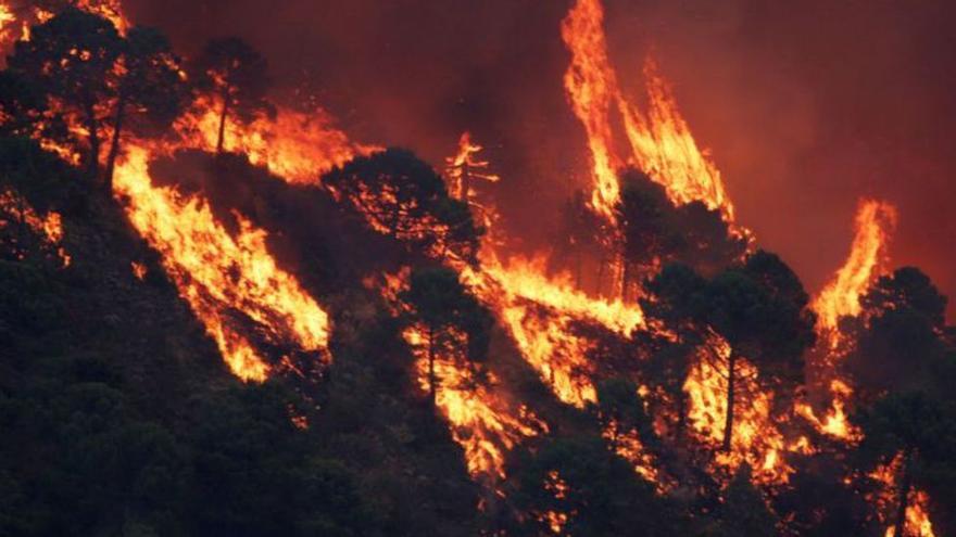 Dudas sobre el punto en el que se inició el último incendio de Sierra Bermeja