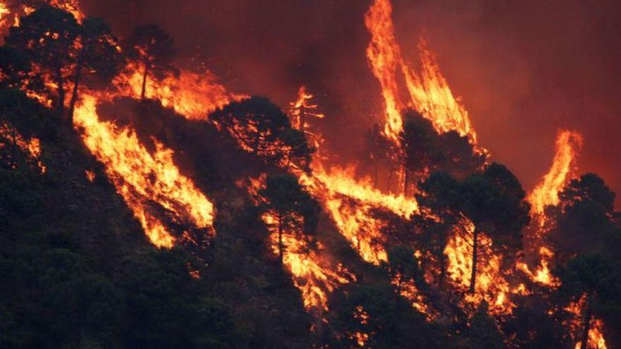 Dudas sobre el punto en el que se inició el último incendio de Sierra Bermeja