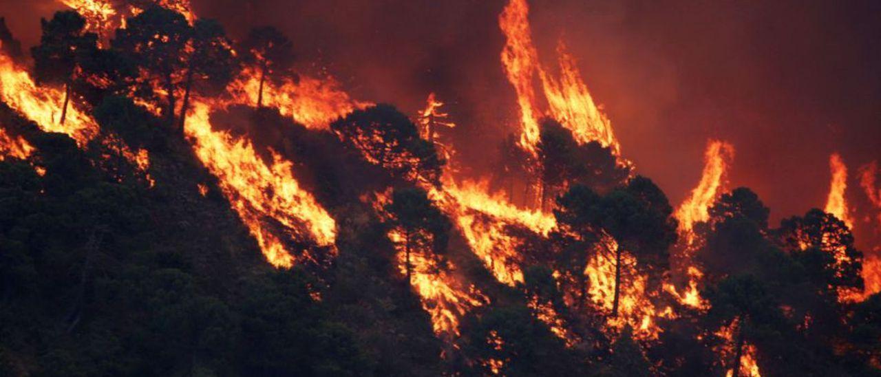 Incendio de Pujerra.