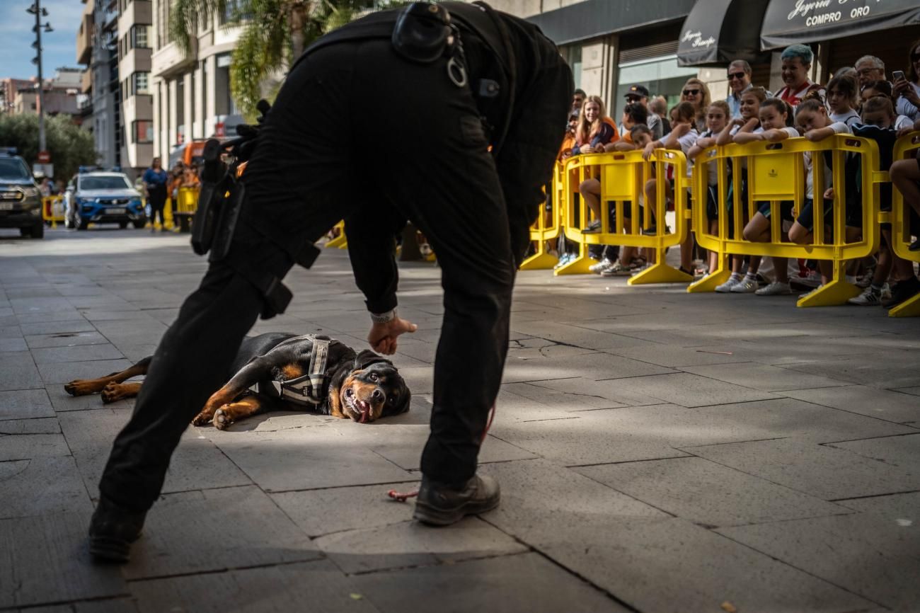 Apertura jornadas 25 aniversario Unidad Canina de la Policía Local