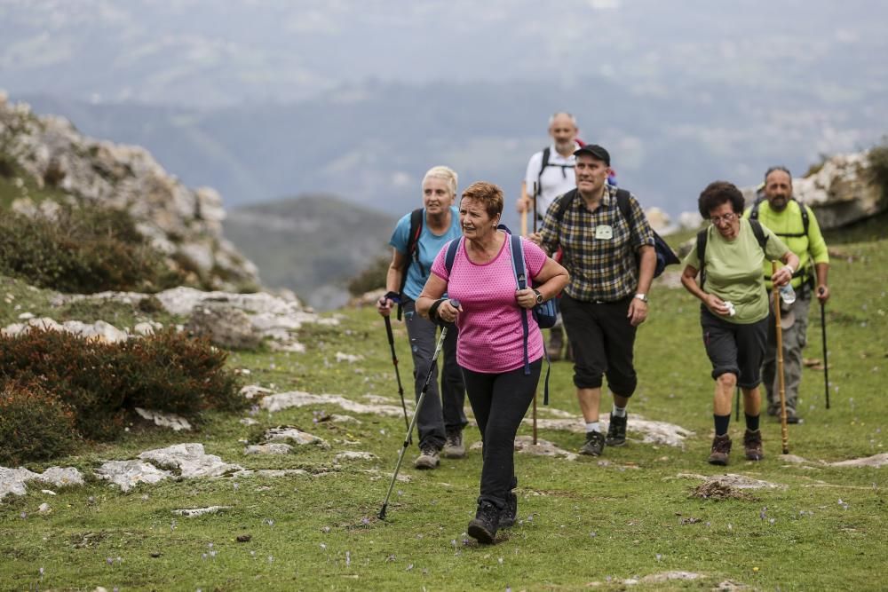 Ruta de las Santas Reliquias, entre Oviedo y el Monsacro