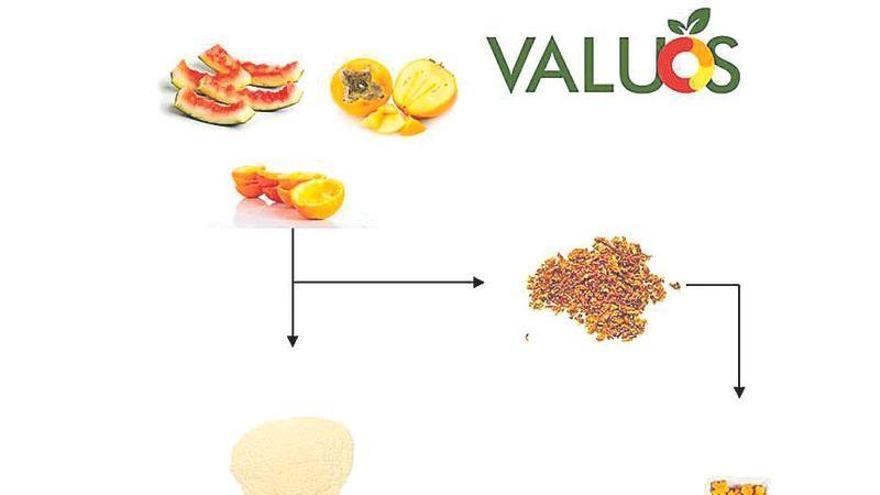 Diagrama de Valuos.