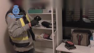 culebra-murcia-editado