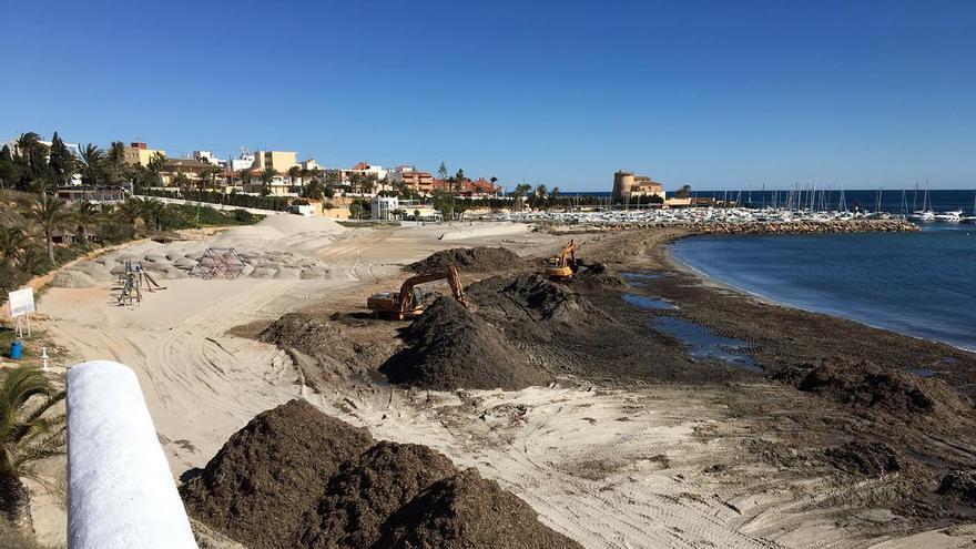 Pilar de la Horadada exige al Gobierno que asuma la recuperación de las playas de Mojón, Las Higuericas, Las Villas que retroceden por culpa del puerto deportivo