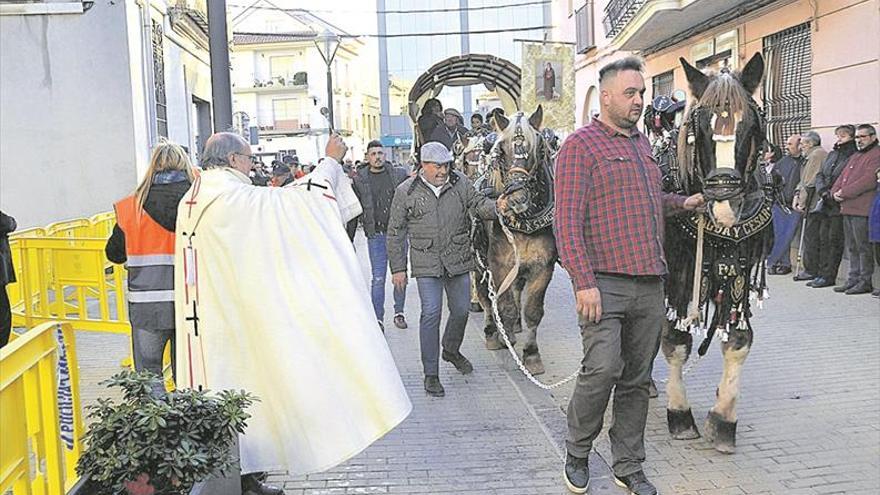 La bendición y la ‘torrà’ son los ejes en Moncofa