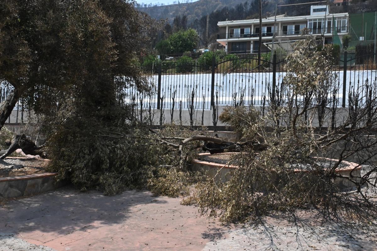 El hermano de Yunke apagó con una manguera los setos que rodean el jardín y así evitó que se quemara la casa.