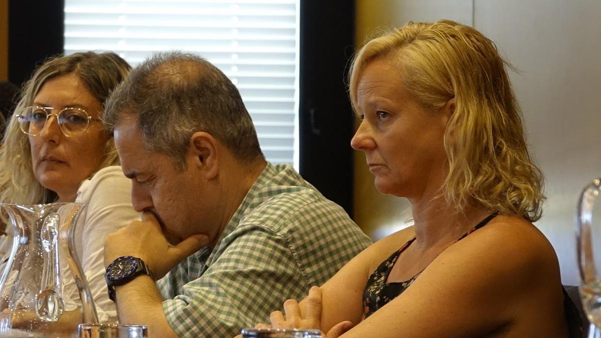 Juan Feliu, en un pleno de Calvià en la legislatura 2015-2019, cuando era regidor del PP