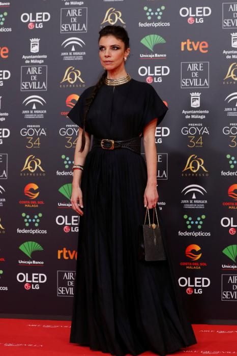 Alfombra roja de los Premios Goya 2020.