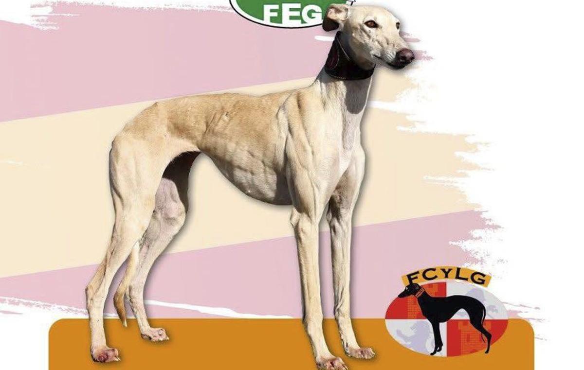 Morería de la Suerte.