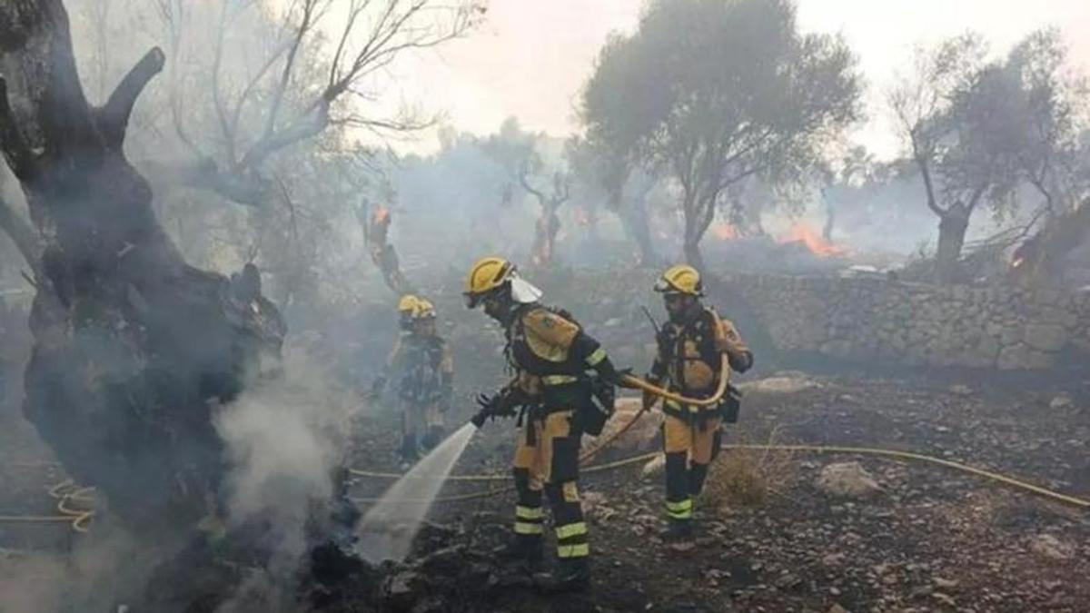 Die Feuerwehr brachte den Brand schnell unter Kontrolle.