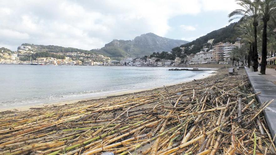 Las cañas quedaron varadas en plena playa