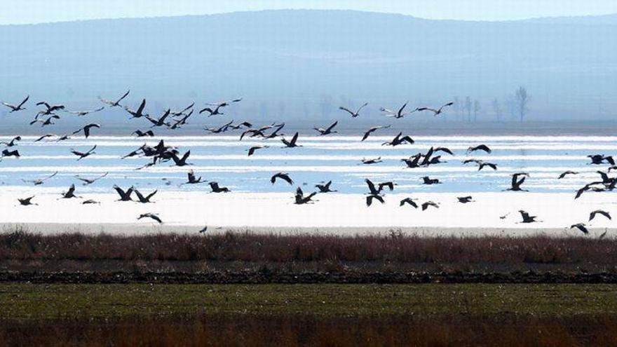 SEO/BirdLife cumple 60 años en defensa de la naturaleza en Aragón