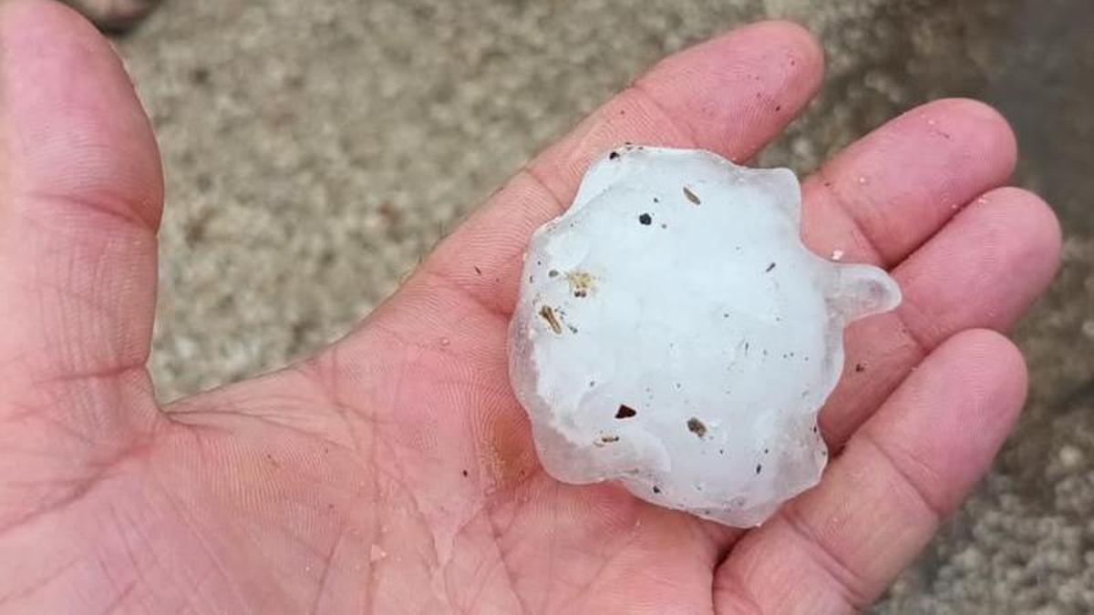 El granizo ha destrozado varias zonas de cultivo en la Vall d'Albaida.