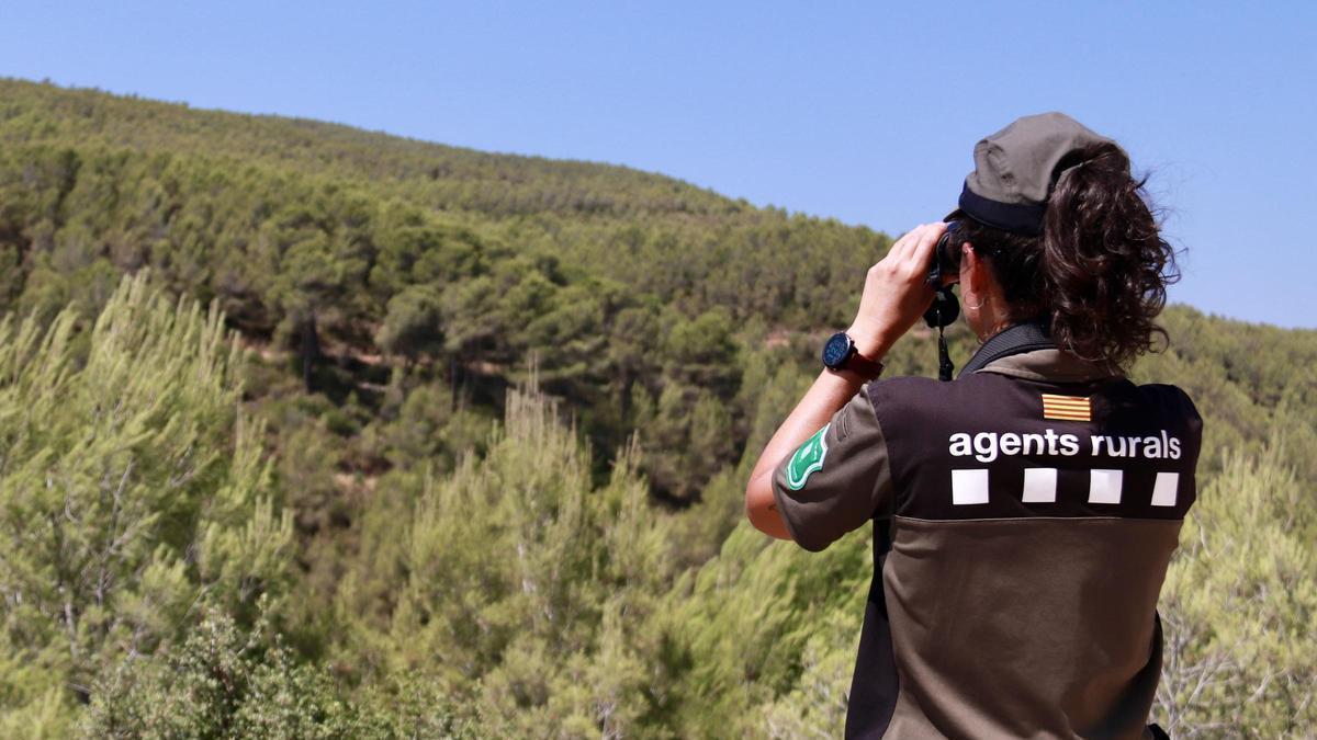 Una Agente Rural vigila la zona forestal.