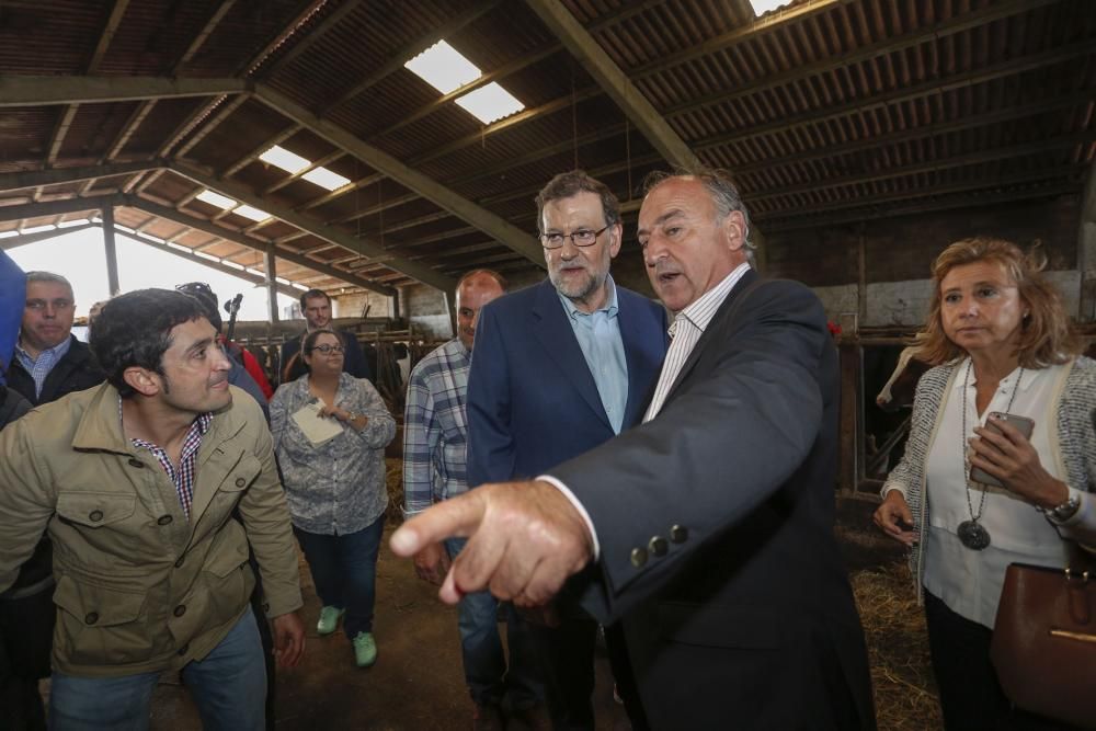 Visita de Mariano Rajoy a una ganadería en Gozón (Asturias)