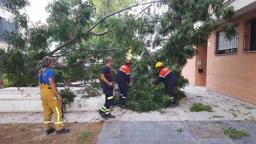 Un hombre queda atrapado entre las ramas de un árbol derribado por el viento