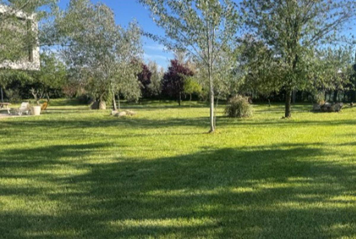 Asprosub, profesionales del cuidado de los jardines y zonas verdes