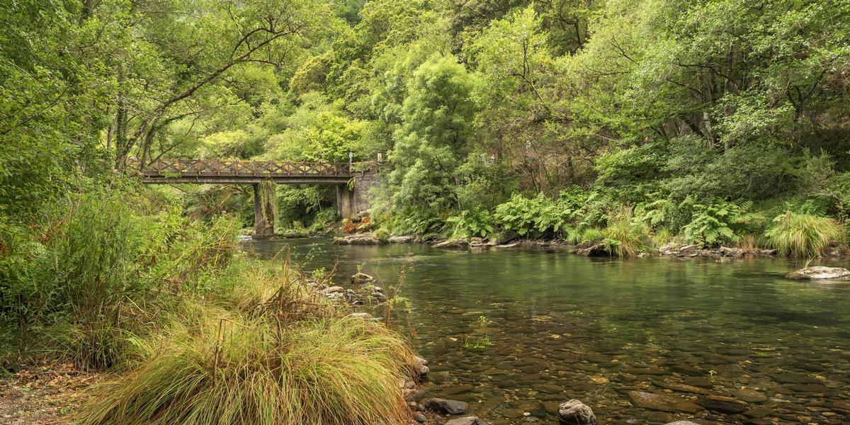 El río Eume a su paso por las fragas