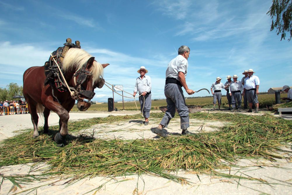 Fiesta de la Siega del Arroz