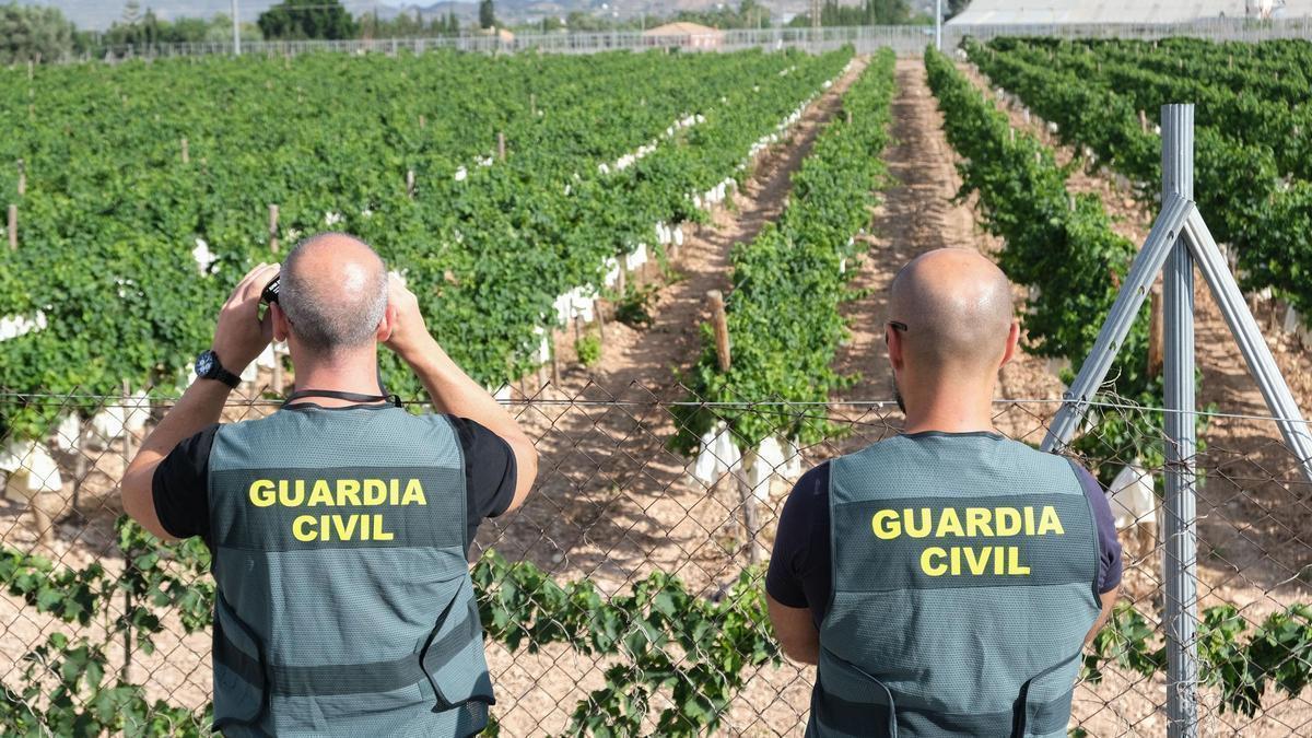 Los robos en el campo bajan un 31 % en la provincia de Alicante