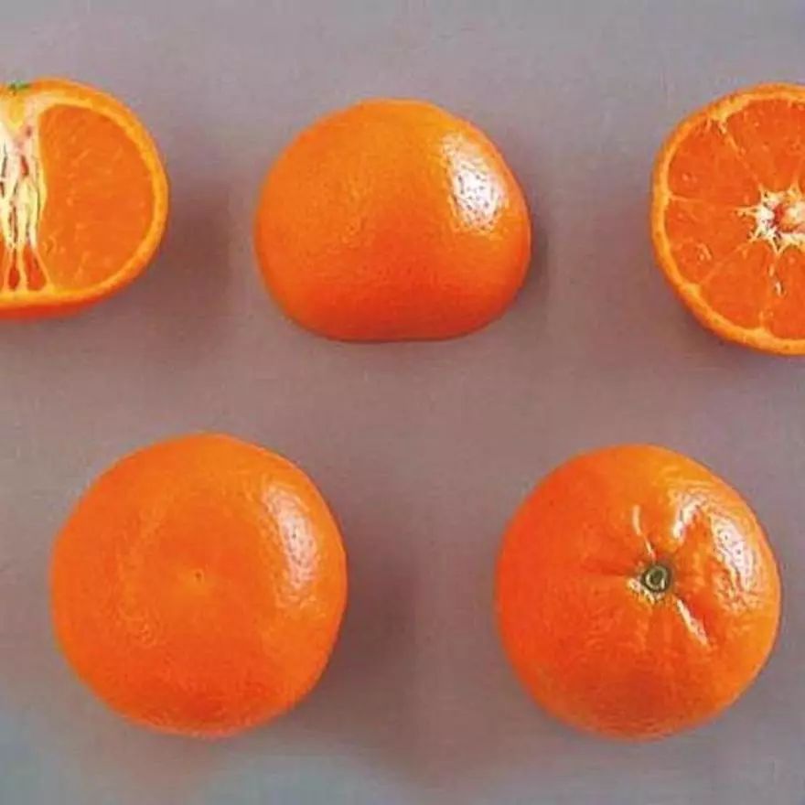 Mandarina Tango