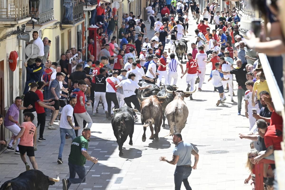 Galería | Almassora vibra con el encierro de cerriles de Gerardo Ortega