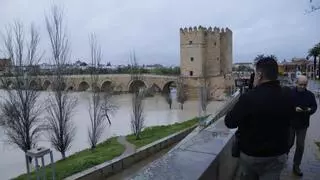 El río Guadalquivir se desborda a su paso por Córdoba, que está nivel 1 de alerta por inundaciones