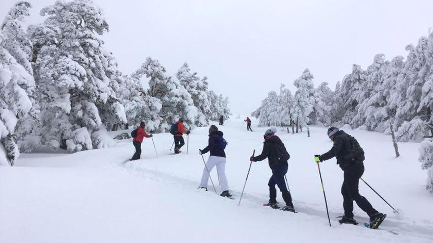 Varias personas practican esquí nórdico en Segovia.