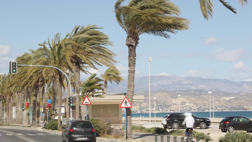 Meteorología decreta la alerta por vientos y temporal marítimo hasta el jueves