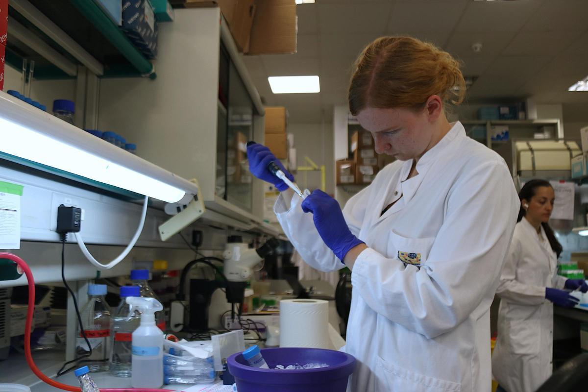 Una investigadora del Parc Científic trabajando en un laboratorio. Una investigadora del Parc Científic trabajando en un laboratorio.