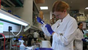 Una investigadora del Parc Científic trabajando en un laboratorio.