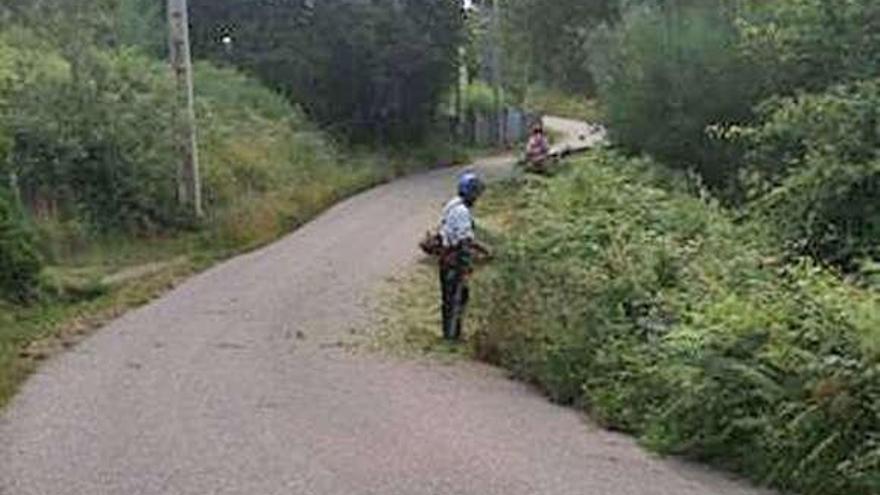 Trabajos de desbroce en la bajada de Viñó.