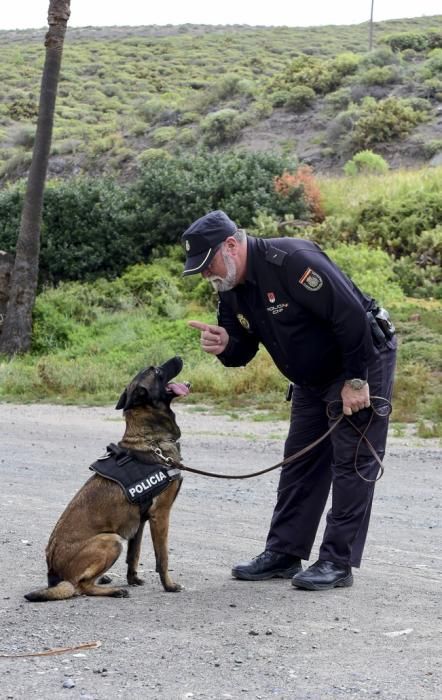 Reportaje a la Unidad Canina de la Policia ...