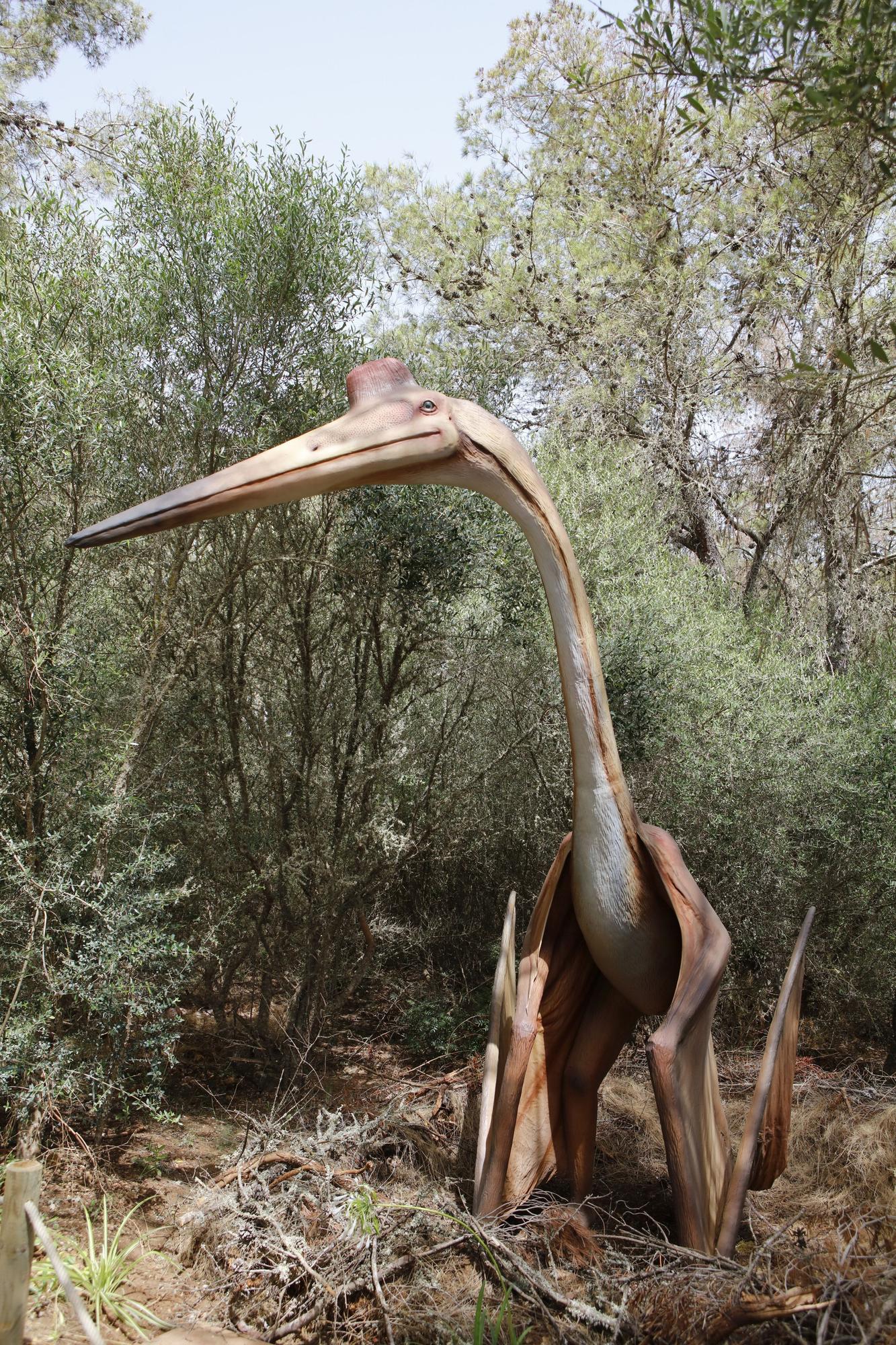 Besuch im neuen Dino-Park auf Mallorca