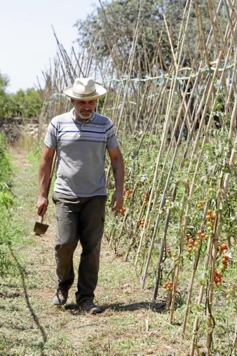 Bartomeu Ballester und Pere Ferragut haben ihre Jobs aufgegeben, um auf der Finca Es Pontet bei Algaida Bio-Gemüse und -Obst anzubauen.