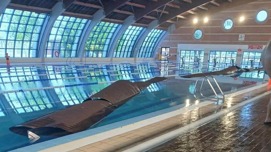 Torrevieja cierra definitivamente la temporada de la piscina cubierta tras el accidente y reabre las exteriores el día 8