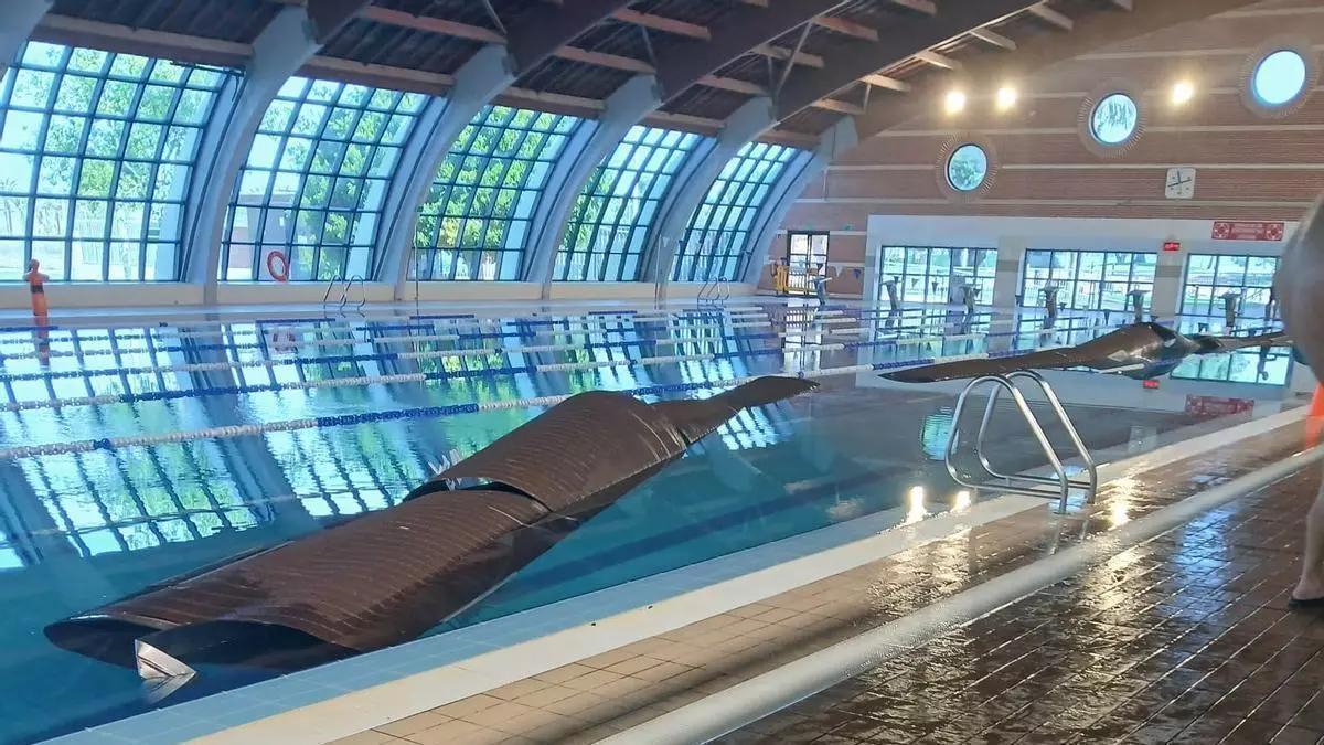 Las piscinas exteriores del Palacio de los Deportes reabren el lunes 8 de junio