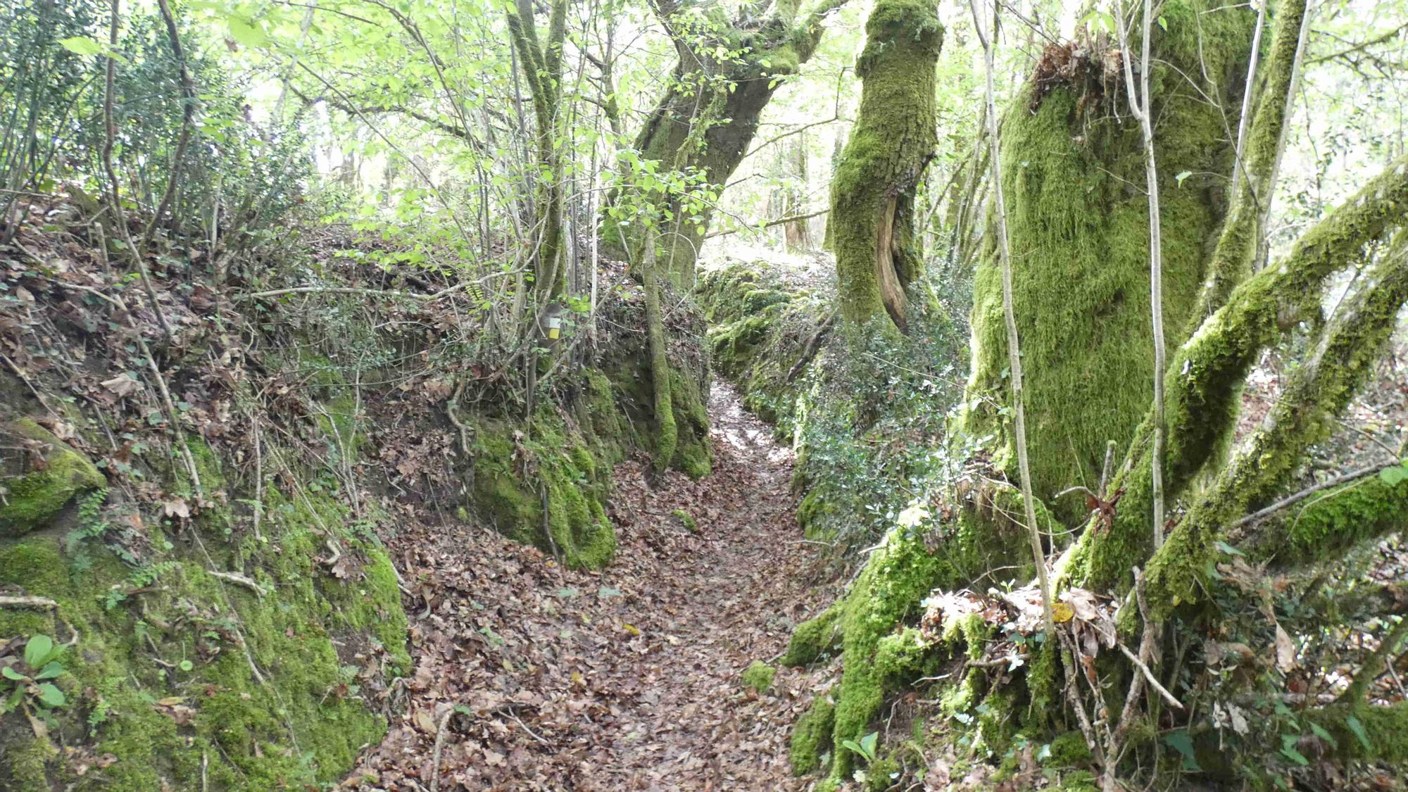 La cascada de Liñares: el "salto del ángel" de las tierras altas de Pontevedra